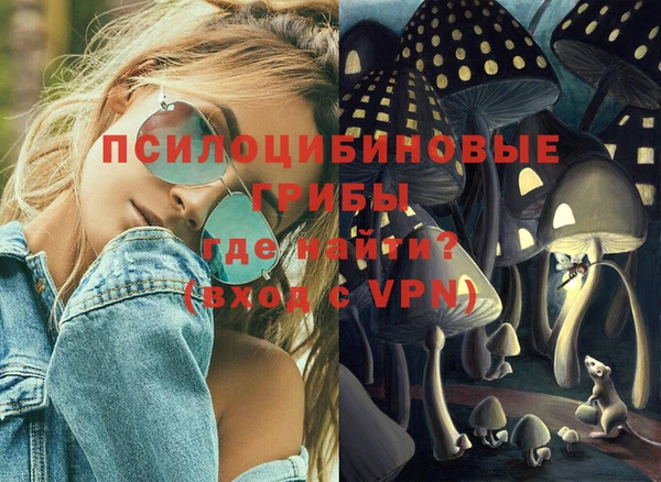 молекула духа Абинск