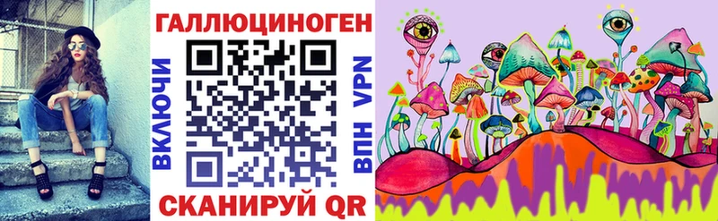 МЕГА как зайти Зеленодольск Галлюциногенные грибы Psilocybine cubensis